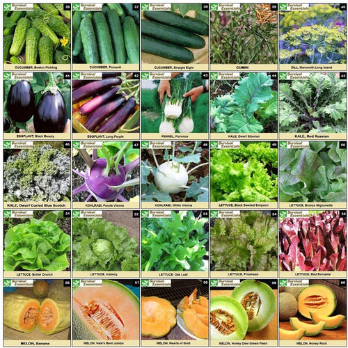 Survival Essentials Seeds Premium Heirloom Seeds Vault - 144 Varieties - Over 23,000 Seeds
