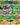 Survival Essentials Seeds Premium Heirloom Seeds Vault - 144 Varieties - Over 23,000 Seeds