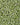 Harmony House Freeze Dried Green Peas (30 lb)