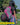 High Visibility Pink Reflective Commuter Bike Backpack | Riderbag Reflektor35