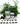 Open Seed Vault Herb Garden - Non-GMO. Herbs, Medicinal Seeds