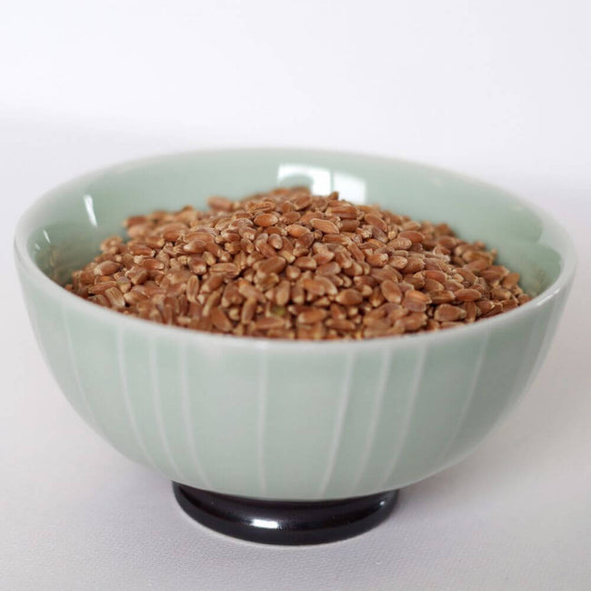 Rainy Day Foods - Hard Red Wheat 5 Gallon Pail - 36 lb.