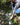 jacobxstream2_400x600_6apr2016