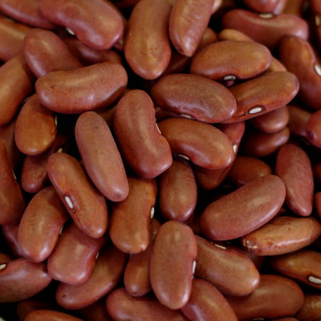 Rainy Day Foods Kidney Beans 50 lb. Bag - 247 Servings