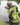DryPack 30 Liter Waterproof Backpack