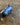 DryPack 45 Liter Waterproof Backpack