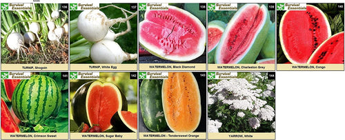 Survival Essentials Seeds Premium Heirloom Seeds Vault - 144 Varieties - Over 23,000 Seeds