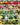 Survival Essentials Seeds Premium Heirloom Seeds Vault - 144 Varieties - Over 23,000 Seeds