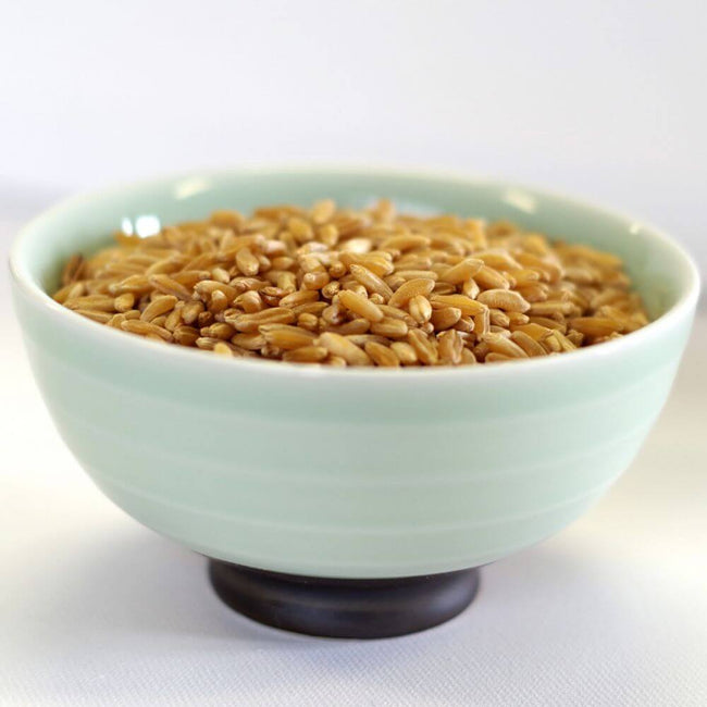 Rainy Day Foods Non-GMO Kamut Natural 1.5 lb. Mylar Bag - 8 Servings