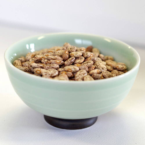 Rainy Day Foods - Pinto Beans Natural 5 Gallon 34 lb. Super Pail