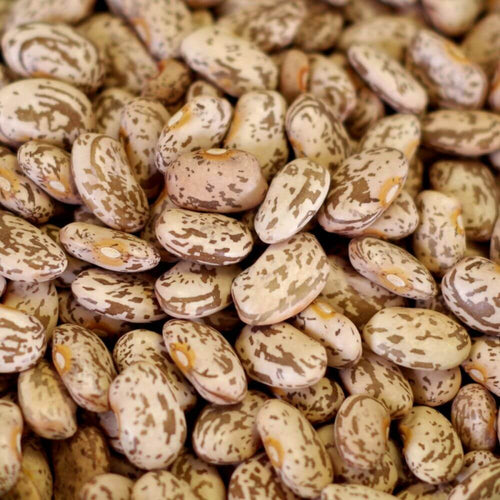 Rainy Day Foods - Pinto Beans Natural 5 Gallon 34 lb. Super Pail