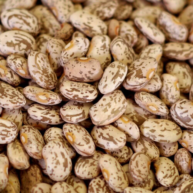 Rainy Day Foods - Pinto Beans Natural 5 Gallon 34 lb. Super Pail