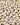 Rainy Day Foods Small White Navy Beans 90 oz. #10 Can - 24 Servings