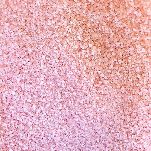 Rainy Day Foods Peach Drink #10 Cans - 6 Pack