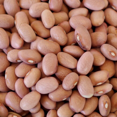 Rainy Day Foods Pink Beans 5 Gallon 34 lb. Super Pail - 146 Servings