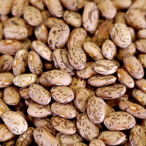 Rainy Day Foods Pinto Beans 50 lb. Bag - 227 Servings