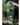 Puribag with P&G Water Filter Packets