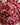 Rainy Day Foods Freeze-Dried Pomegranate Arils #2.5 Cans - 6 Pack