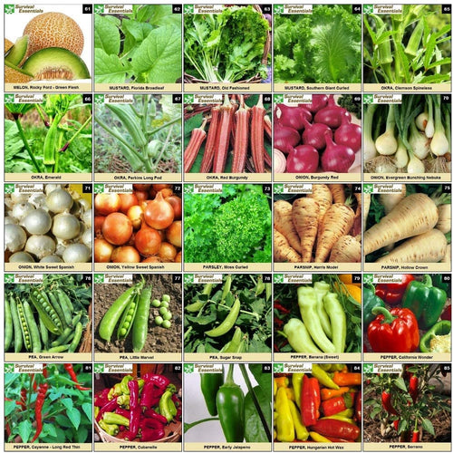 Survival Essentials Seeds Premium Heirloom Seeds Vault - 144 Varieties - Over 23,000 Seeds