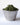 Rainy Day Foods Non-GMO Dehydrated Spinach Flakes #10 Cans - 6 Pack