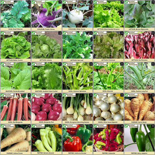 Survival Essentials Seeds Premium Heirloom Seeds Box - 100 Varieties - Over 17,000 Seeds
