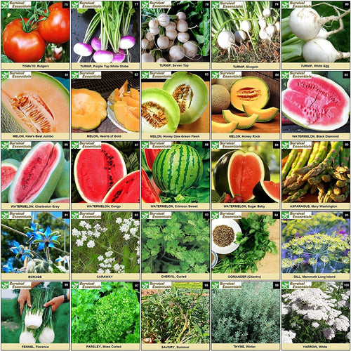 Survival Essentials Seeds Premium Heirloom Seeds Box - 100 Varieties - Over 17,000 Seeds