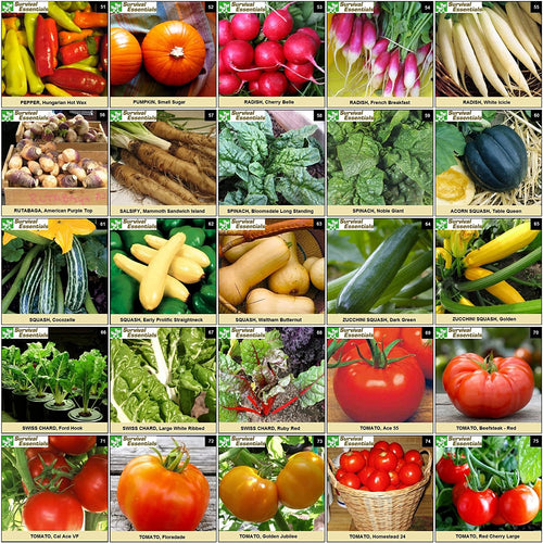 Survival Essentials Seeds Premium Heirloom Seeds Box - 100 Varieties - Over 17,000 Seeds