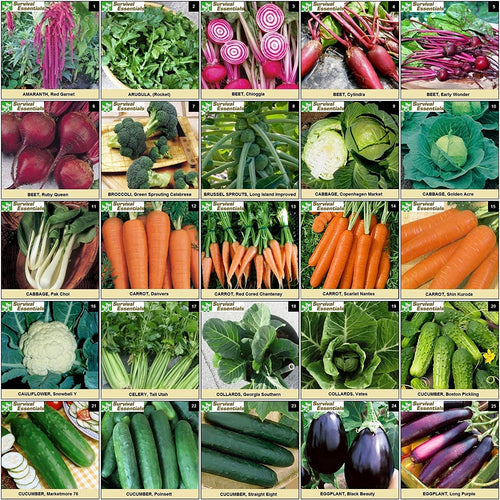 Survival Essentials Seeds Premium Heirloom Seeds Box - 100 Varieties - Over 17,000 Seeds