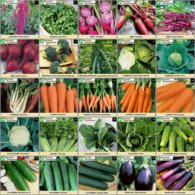 Survival Essentials Seeds Premium Heirloom Seeds Box - 100 Varieties - Over 17,000 Seeds