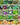 Survival Essentials Seeds Premium Heirloom Seeds Box - 135 Varieties - Over 23,000 Seeds