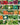 Survival Essentials Seeds Premium Heirloom Seeds Box - 135 Varieties - Over 23,000 Seeds