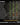 SurvivorCord | FOREST-CAMO
