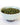 Rainy Day Foods Non-GMO Garden Peas Sweet #2.5 Cans - 6 Pack