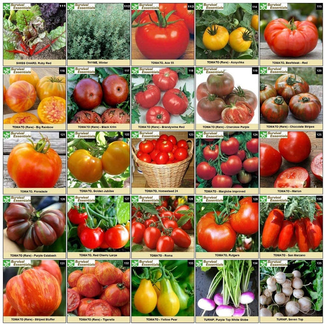 Survival Essentials Seeds Premium Heirloom Seeds Vault - 144 Varieties - Over 23,000 Seeds