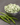 Freeze Dried Vegetable Variety Bucket