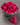 Freeze Dried Fruit Variety Bucket