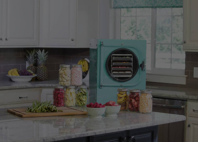 harvest-right-teal-kitchen-freeze-dryer-home