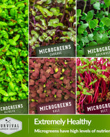 Microgreens 10 Variety Seed Kit