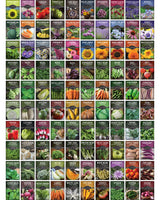 Complete Survival Garden Kit – 100 Seeds to Grow Food for Your Family