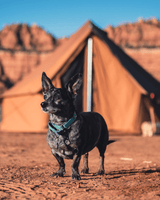 13' Regatta Bell Tent