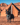 13' Regatta Bell Tent