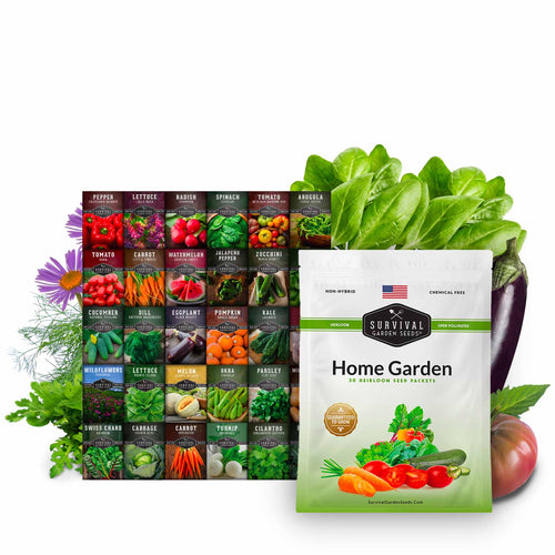 Family Home Garden Kit - 30 Easy to Grow Seeds for a Victory Garden