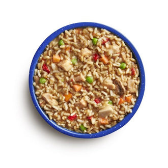Mountain House - Chicken Teriyaki W/ Rice Mylar Pouch