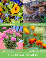 Functional Flower Garden Kit - 36 Seeds for Beauty, Bees & Wellness