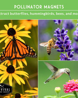 Functional Flower Garden Kit - 36 Seeds for Beauty, Bees & Wellness