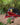 Sleeping Bag Liner