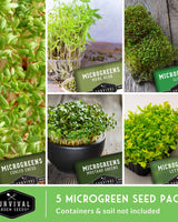 Microgreens Seeds 5 Pack