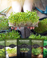 Microgreens Seeds 5 Pack