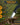 The Pioneer Folding Pocket Knife Giftset for Men and Women (Silver and Black)