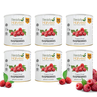 Ready Harvest Freeze-Dried Raspberries #10 Cans - 6 Pack
